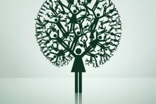 rs=w_388,h_194,cg_true (1)